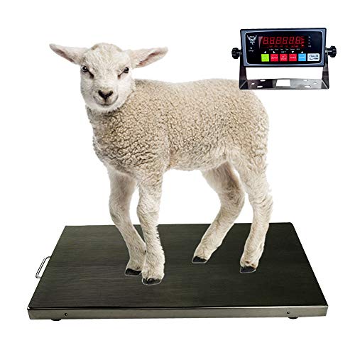 PEC Livestock Animal Scale/Farm Animal Scales for Weighing Small to Medium Sized Animals, Lamb, Goat, Sheep, Pigs, hogs, Donkey, Calf, Digital Indicator Included, Capacity 700lbs (38″ x 20″) - style: 38"x 20"