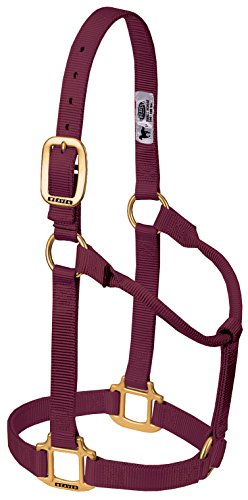 Weaver Leather Original Non-Adjustable Nylon Horse Halter