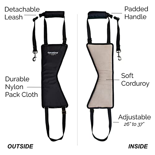 GINGERLEAD Dog Support Harness, Rear End Lift Sling, Tall Male, Made in USA | Fits Tall, Lean Dogs like Greyhounds or Great Danes, Padded Mobility Aid, Help Pets Walk or Balance, Machine Wash & Dry - size: Tall - Male