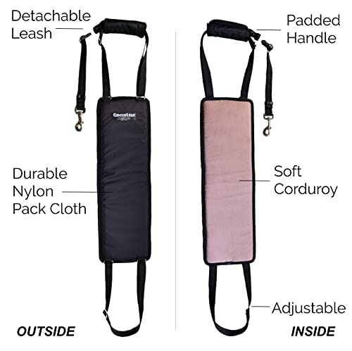 GINGERLEAD Dog Support Sling Rear Harness, Large Female, Machine Wash & Dry | Padded Rear Lift, Integrated Leash, Assist Senior K9s or Recovery from Knee/TPLO, Hip or Back Surgery, Made in U.S.A. - size: Large - Female