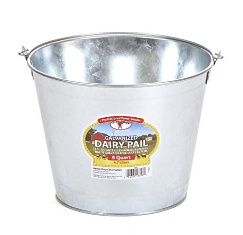 Little Giant® Galvanized Dairy Pail | Metal Utility Bucket with Handle | Gardening & Farming Bucket | 5 Quart - size: 5 Quarts