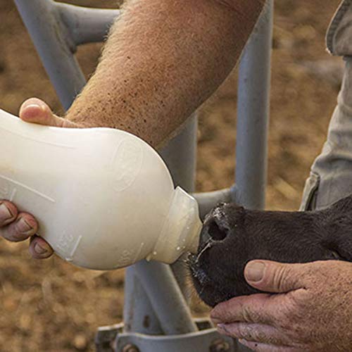 BESS Calf 2qt Nursing Feeding Bottle: Leak-Free, Non-Collapsing, with Clear Snap-on Nipple (2 qt, Snap on)