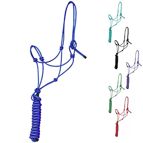 Majestic Ally 1/4" Rope 4 Knot Stiff Polyester Training Halter with 10’ Matching Lead Rope for Horses – Full (Royal Blue, Full) - color: Royal Blue, size: Full