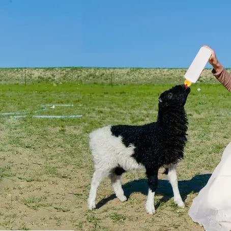 Goat Nipple and Bottles Set for Feeding Sheep Goat Lamb Puppy | 12 Pieces Small Animal Milk Drink Pritchard Nipple 2 Pieces 400 ml Lamb Feeding Bottle Kit - color: White 12