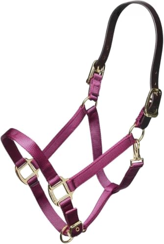 ARMA Shires Nylon Halter with Leather Head Strap - color: Burgundy, size: Full