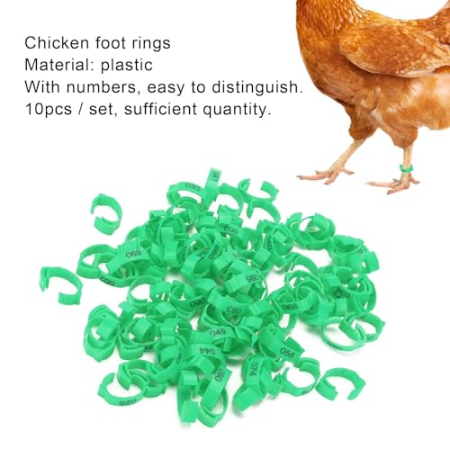 100PCS Chicken Leg Rings, Poultry Leg Bands 5 Colors Numbered Chicken Identification Leg Bands Rings Card Slots Design Poultry Leg Tags for Chicks Ducks (Green (100 Pieces per Pack)) - color: Green (100 Pieces Per Pack)