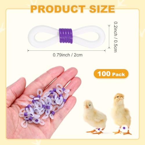 M METERXITY 100-Pack Adjustable Chick Leg Bands, 0.79" x 0.2" Silicone Chicken Leg Brace for Chicks/Ducks/Birds [Purple] Poultry Leg Bands - color: Purple