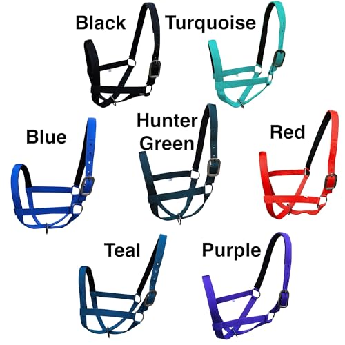 Majestic Ally Adjustable Nylon Cattle Halter with Padded Crown and Nose - 6-Month Warranty - color: Purple