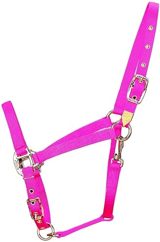 Hamilton Deluxe Adjustable Horse Halter, 800-1100 lbs, Hot Pink | Premium Quality 1" Triple Ply Nylon, Average/Arabian/Yearling Draft, Adjustable Chin Strap, Throat Snap, Solid Brass Hardware - color: Hot Pink, size: Average, 800-1100lbs