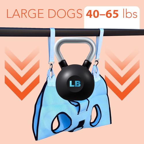Haminway Pet Grooming Hammock – Large Dog Grooming Sling for Nail Trimming, Bathing & Ear/Eye Care – Blue - color: Blue