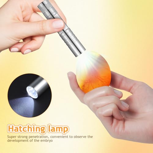 IMIKEYA Egg Incubator for Quail Eggs Auto Temperature and Humidity Control Portable Bird Incubator for Chickens Parrots Duck Eggs Compact Desktop Use