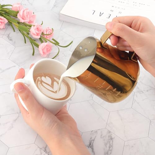 Buyer Star Milk Frother Cup Coffee Frothing Picher Barista Tools Stainless Steel Mental Cup Espresso Accessories Latte Art Steaming Kit (350ml /12oz,Silver) - color: Silver