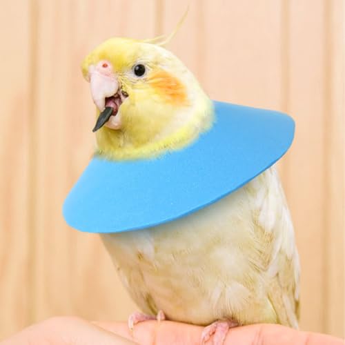 3 Pcs Adjustable Recovery Bird Cone Collar,Hamster Elizabeth Collar Protective Cones for Sugar Glider Hamster Ferret Squrrel_XL - size: XL