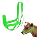 M METERXITY 1-Pack Adjustable Cattle Cow Calf Halter, 19.68"-23.62" Nylon Livestock Cow Halter for Miniature Horse/Donkey/Goat/Cattle [Green]