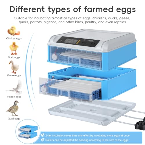 120 Egg Incubators for Hatching Eggs Large Automatic Poultry Hatcher Machine with Automatic Egg Turning Temperature Control Dual Power Supply Smart Digital Incubator for Chicken Duck Goose Quail Blue