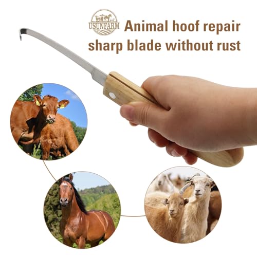 Left and Right Handed Hoof Knife with Wooden Handle 2PCS Hoof Cutter Set Equipment Sharp Carbon Steel Hoof Knife for Horses Cattle Goat Surgical Apparatus and Instruments for Veterinary Use