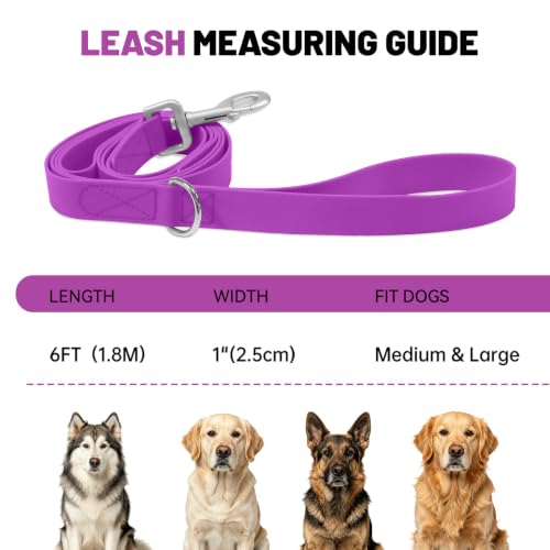 Waterproof Dog Leash with Double Handle, 6 FT Durable Odor-Proof Dog Leashes with Strong Aviation Aluminum Hooks Fits Small Medium or Large Dogs - color: Purple, size: 6FT - Double Handle