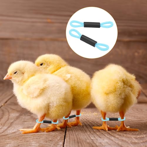 M METERXITY 100-Pack Adjustable Chick Leg Bands, 1.38" x 0.2" Polyester Chicken Leg Brace for Chicks/Ducks/Birds [Light Blue] Poultry Leg Bands - color: Light Blue