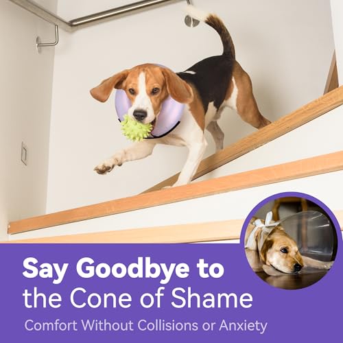 Inflatable Dog Cone Collar - Donut Collar Recovery ECollar Alternative After Surgery - Soft Dog Cone for Small Medium Large Dogs - size: X-Large [Neck:16"-20"]