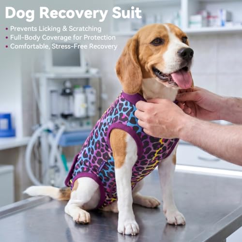 cyeollo Dog Surgery Recovery Suit, Surgical Onesie for Female & Male Dogs | Prevents Licking, Cone Alternative, Ideal After Spay & Neuter, Protects Surgical Wounds, Easy Potty Access, 4-Way Stretch - color: Purple Leopard, size: X-Small (Back: 9"-11")