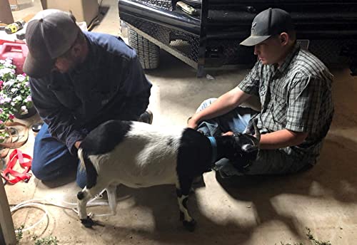 Cow Milking Machine (12L, Classic Model) and Goat Milking Teat Cup Replacement (Tube Included)