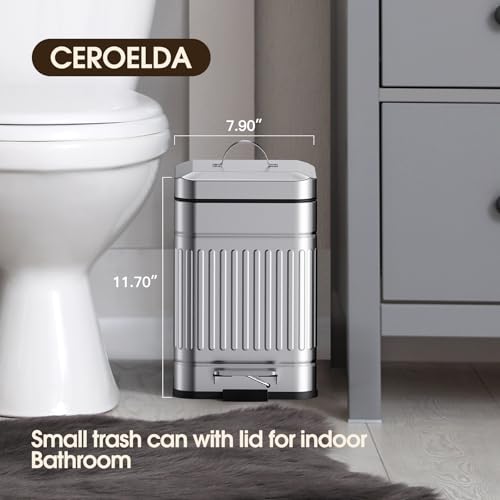 CEROELDA Small Trash Can with Lid-5L/1.3 Gal,Outdoor Dog Poop Garbage Can-Farmhouse Retro Metal Waste Bin w/Step Pedal for Bathroom Bedroom Office-Soft Close-Galvanized Steel… - color: Galvanized steel