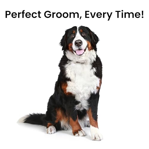 Fresh Ultra Wide XL Metal Pet Comb, Oval Aluminum Handle, Wide Tooth Spacing, Metal Grooming Comb for Dogs, 9.75" - style: Ultra Wide XL