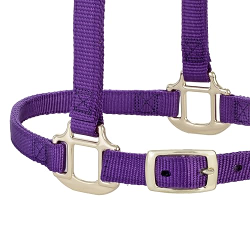 Weaver Leather Adjustable Breakaway Nylon Horse Halter, Purple, Weanling/Pony