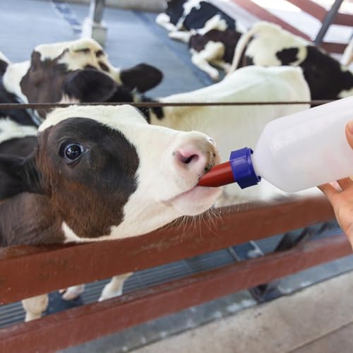 2 Pack Calf Nursing Bottle 1000ml, Livestock Feeding Bottle for Orphaned | Rubber Nipple No Latex Chew Resistant, Calf Lamb Pig Puppy Kitten Goat Sheep Farm Animal Supplies (1000ml) - size: 1000ml
