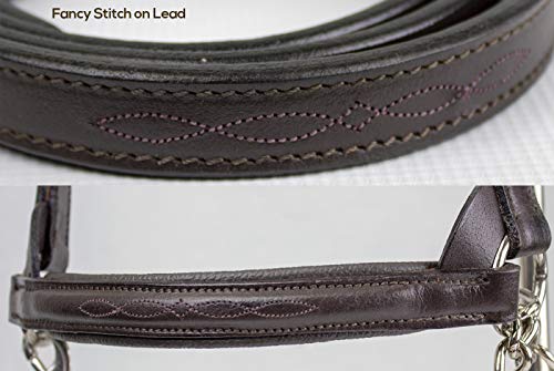 Derby Originals Premium Raised Padded Fancy Stitch Leather Cattle Show Halter with Matching Chain Lead - color: Havana, size: Large (950lbs-1500lbs)