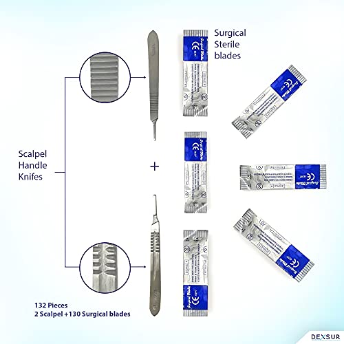 Professional Dissecting Kit Anatomy - 160 Piece Stainless Steel Biology Instruments Set for Medical & Veterinary Training