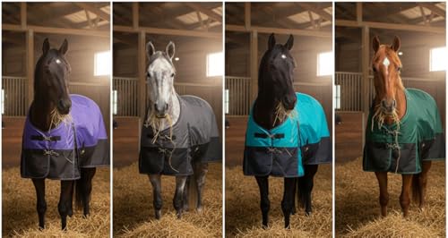 1200D Waterproof Medium Weight Poly (250g Fill) Horse Winter Turnout Blanket with Standard Neck AT010002TQ-66 - color: TURQUOISE, size: 66"