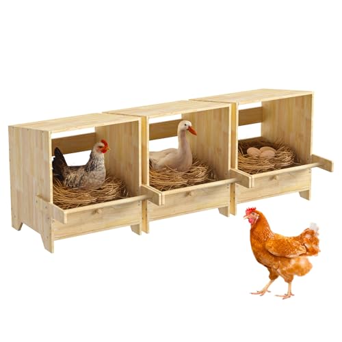 3 Hole Chicken Laying Boxes for Hens | Wood Egg Laying Box, Wall Mounted Nesting Boxes for Chickens, Hens, Ducks, Poultry