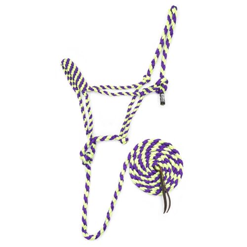 Jeffers Equine Braided Mule Tape Halter with 10' Detachable Lead Rope Set for Horses, 14 to 18 Hands - Stylish Design with Adjustable Poll Strap, Easy to Use Western Tack - Purple & Lime Green - color: Purple & Lime Green