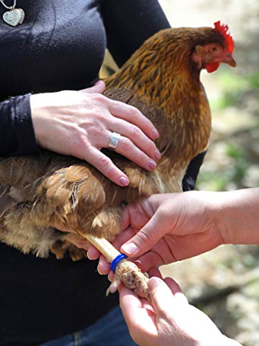 Happy Hen Treats Spiral Leg Bands-Size 9