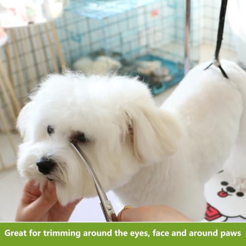 HASHIMOTO Curved Dog Grooming Scissors with Safety Round Tips, 6.5 inch. | Lightweight, No Stabbing with Blunt Tip, 440C Stainless Steel, Sharp, Friendly to amateur. - size: 6.5", style: Curved (Ball-Tip)