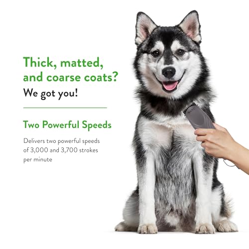 Wahl Pro Animal KM10+ Corded Clipper, Cats, Dogs & Horses, Purple | #10 Prime Series Blade, LOCKGUARD Technology, Textured Housing with Lightweight Design, Fits Cats, Dogs, and Horses