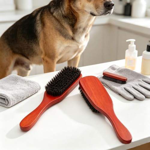 Boar Bristle Dog Brush for Short Haired Dogs, Natural Wooden Grooming Tool, Reduce Shedding, Detangle & Massage Sensitive Skin, Grooming to Calm Dogs & Build Pet Owner Bonding (Red sandalwood) - color: Red sandalwood