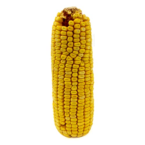 Squirrel Feeder Corn Cob Holder, Bird Feeder Corn Holder with Extension Chain for Squirrel and Backyard Feed