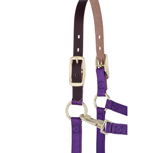 Weaver Leather Adjustable Breakaway Nylon Horse Halter, Purple, Weanling/Pony