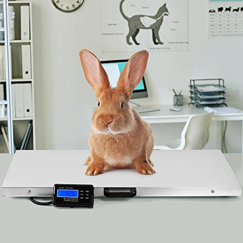 Dog Scale, Dog Scale for Large Breed, Pet, Shipping, 440 Lb, 41x21 Platform | Houseables Livestock, Pet Weight, Animal, Veterinary, Sheep, Goat, Pig, Packages, Weighing, Puppy, Vet, Heavy Duty, Digital