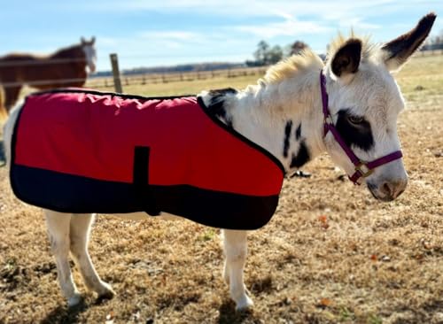 Mini/Pony/Livestock 1200D Adjustable Water Resistant Turnout Blanket - color: Royal Blue, size: 56 - 62