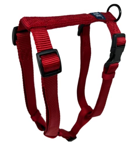 Hamilton Adjustable Nylon Dog Harness, Medium 3/4" x 20-30", Red | Premium Quality Nylon, Durable Buckle, Sturdy D-Ring, No Pull, 4 Point Adjustable, Medium & Large Breed Dogs - color: Red, size: M, 3/4" x 20-30"