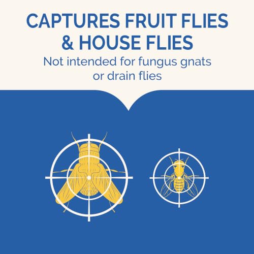 Hot Shot Flying Insect Trap, Attracts & Captures Fruit & House Flies, 6 Ct | 24/7 Continuous Attraction, Discreet & Compact Hassle-Free Trap, Starts Working Immediately, No Plug-In or Electricity Needed