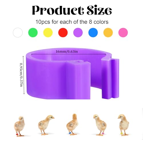 80 PCS Chicken Leg Bands, 1-80 Numbered Poultry Leg Bands 16mm Plastic Chicken Identification Rings, 8 Colors Coded Legs Band for Farmers Chickens Quail Chick Duck Bird