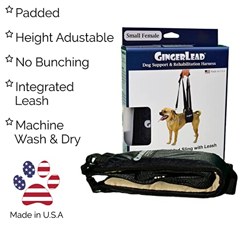 GINGERLEAD Dog Rear Sling Support Harness, SM Female, Machine Wash & Dry | Fits Small to Medium Size Dogs or Larger Barrel-Chested Breeds like Boxers, Bullies. Padded, Integrated Leash. Made in U.S.A. - size: Small - Female