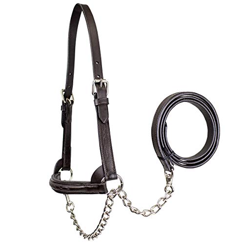 Derby Originals Premium Raised Padded Fancy Stitch Leather Cattle Show Halter with Matching Chain Lead - color: Havana, size: Large (950lbs-1500lbs)