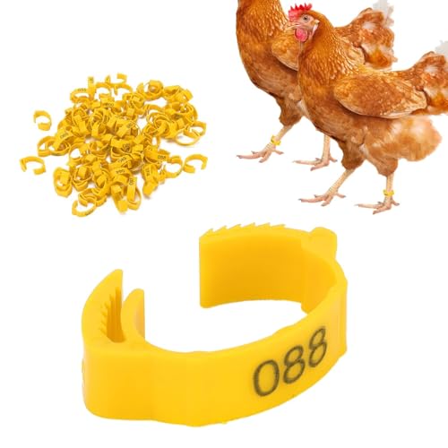 100Pcs Chicken Leg Rings, 5 Colors Readable Numbered Chicken Identification Leg Bands Card Slots Design Poultry Leg Tags for Chicks Ducks (Yellow (100 Pieces per Pack)) - color: Yellow (100 Pieces Per Pack)