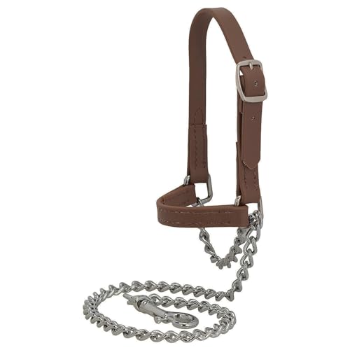 Weaver Leather Livestock Brahma Webb Goat Halter, Brown, Small - size: Small