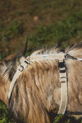 Goat Harness, Asatre Sheep Livestock Hemp Goat Halter, Small to X-Large, Fleece Lined, Multi-Clasp, Machine Washable Soft Durable Restraint (X-Large) - size: X-Large